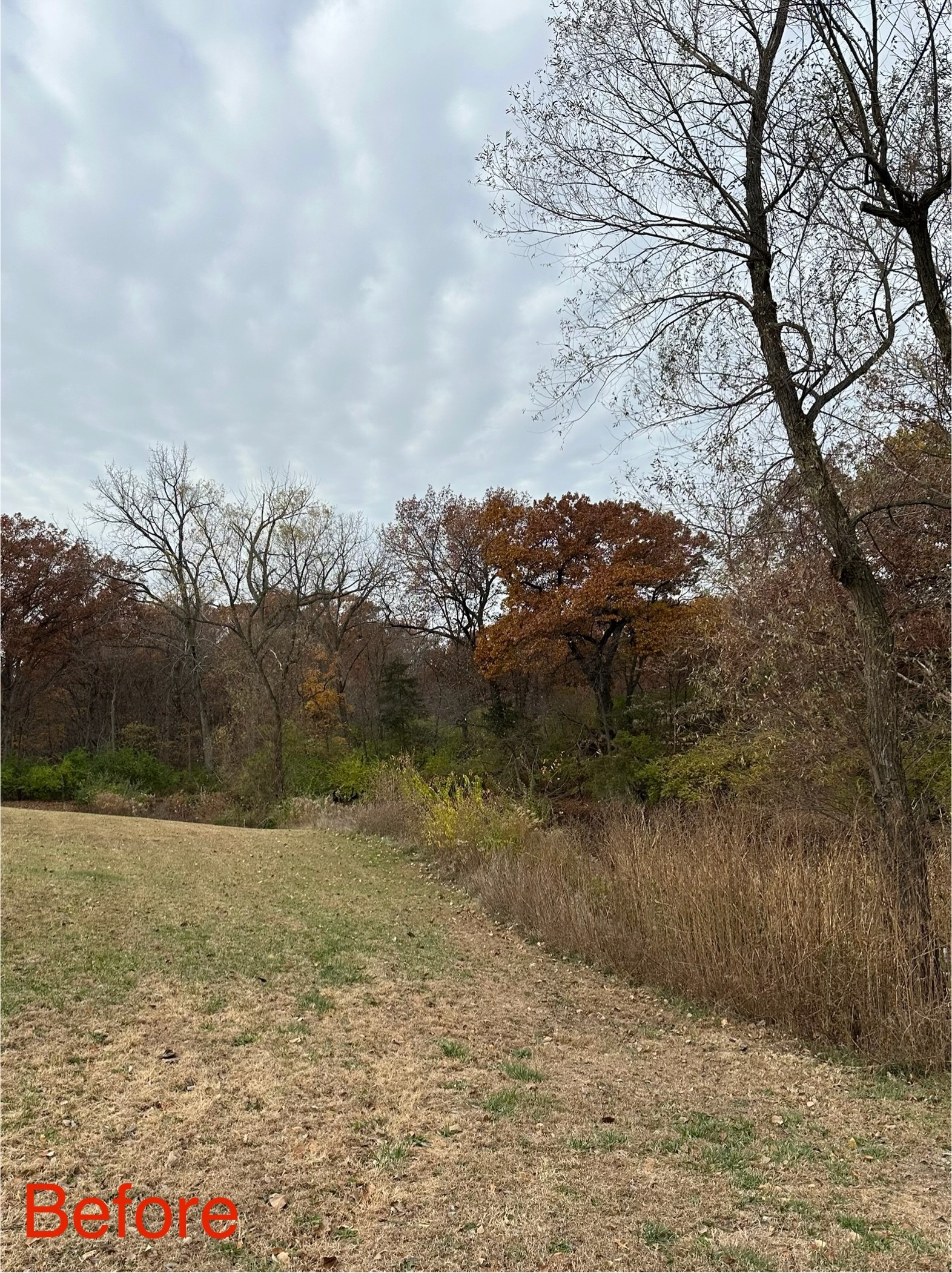Grading and leveling project with skid steer equipment