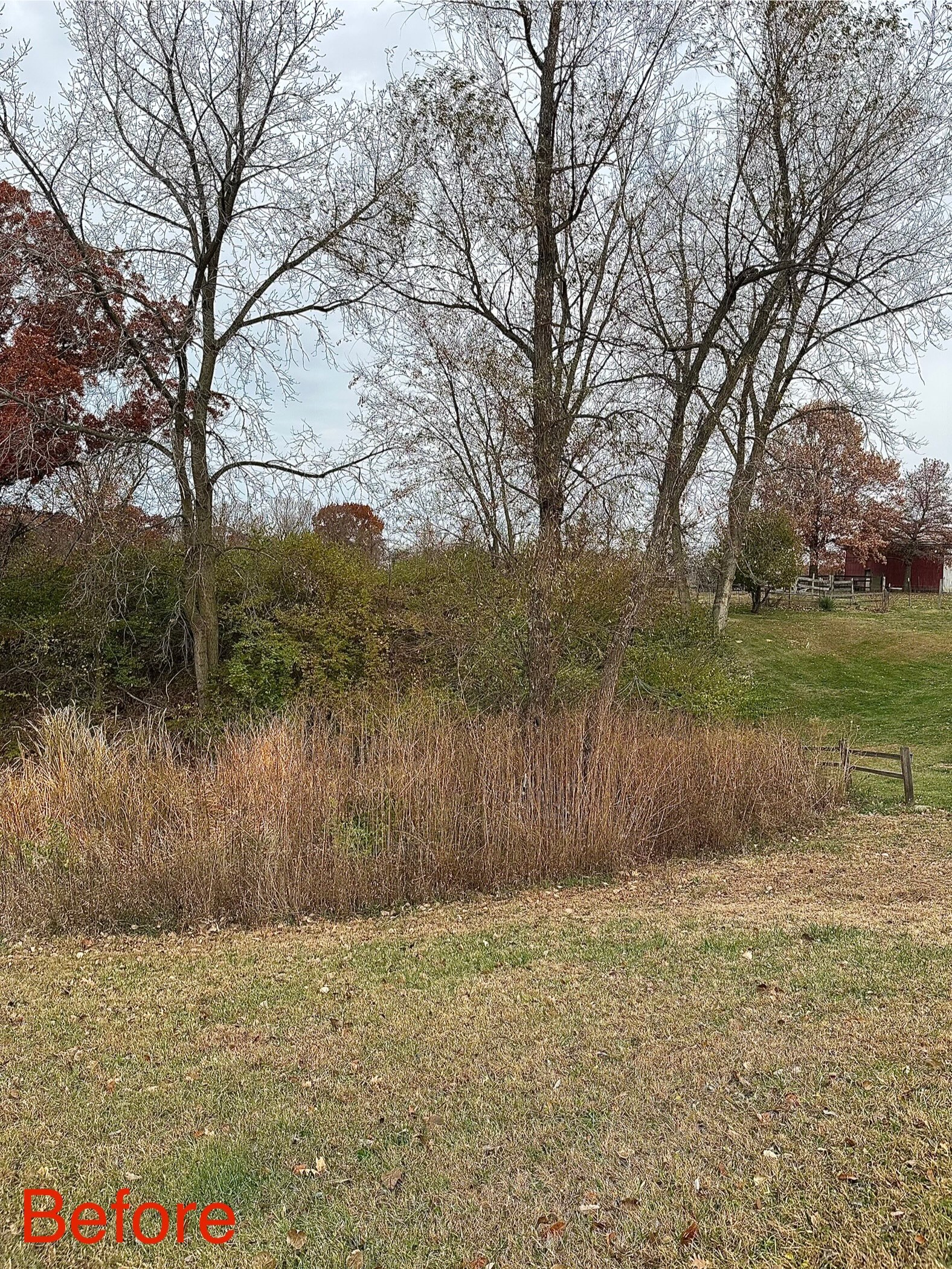 Cleared and maintained land near a pond – after photo
