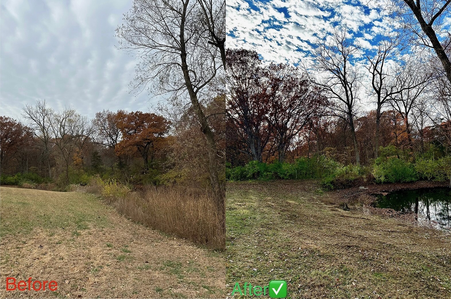 Before and after: Overgrown pond bank transformed to clean lawn