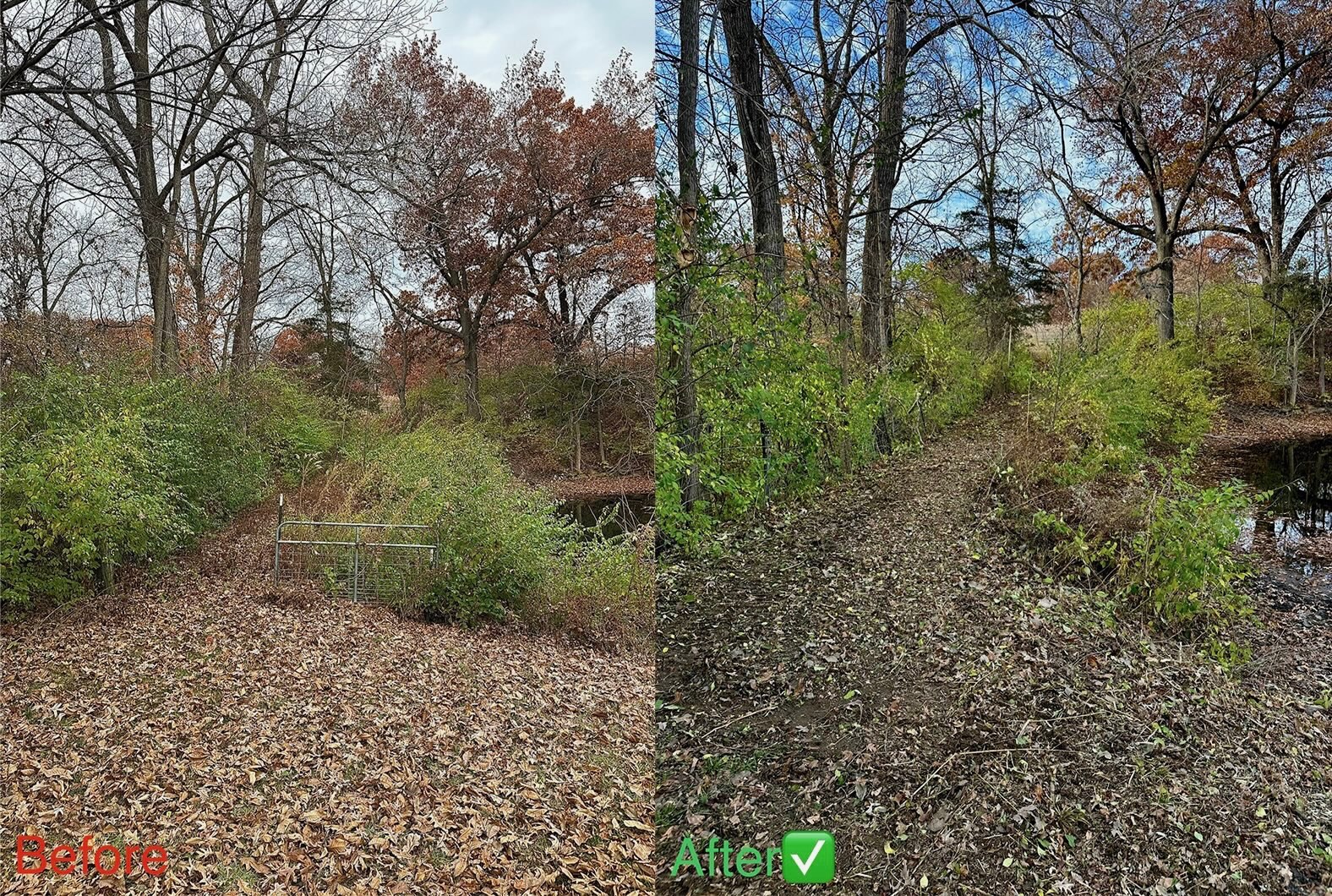 Yordy Landworks cleanup project