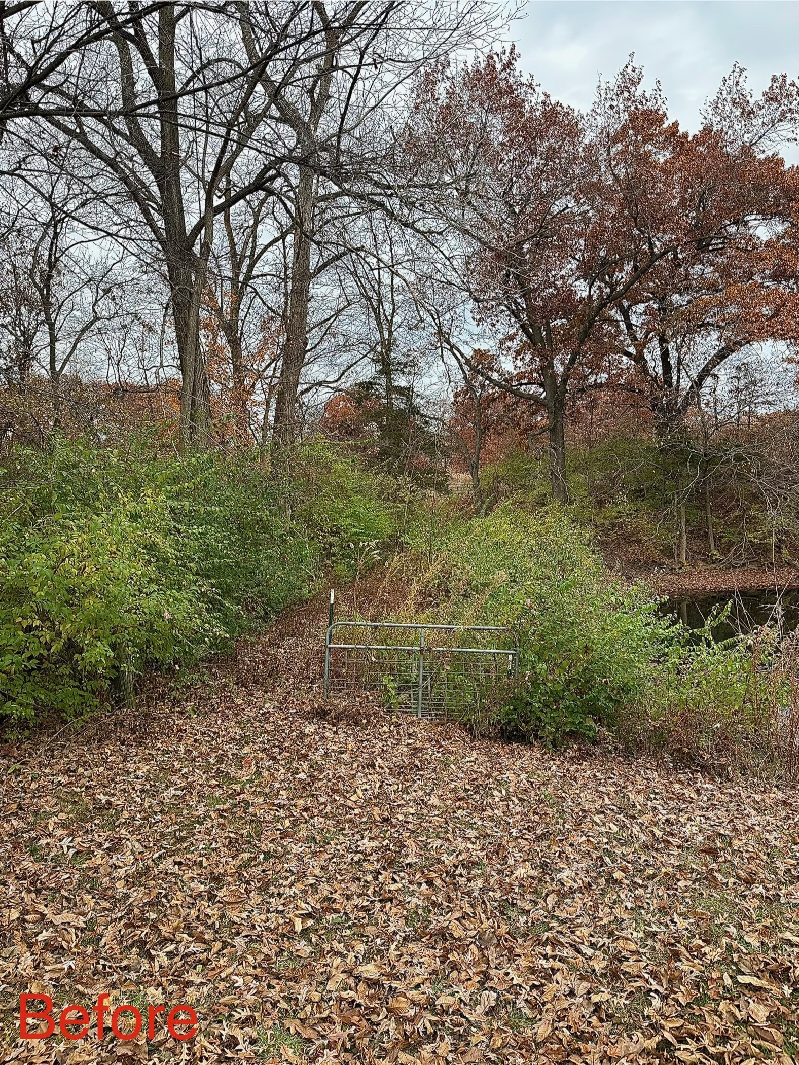 Yordy Landworks site work